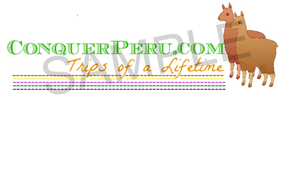 Logo Design by Graphic Designer