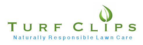 Logo Design by Modine Designs for this project | Design #1399833