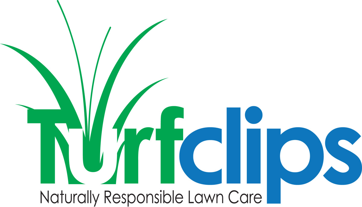 Logo Design by ZinTech for this project | Design #1405317