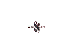 Logo Design by Frazzle Inc for this project | Design: #4977946
