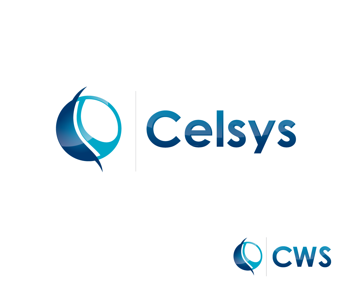 Logo Design by SANYA AN for Celsys Information Services | Design #5102164
