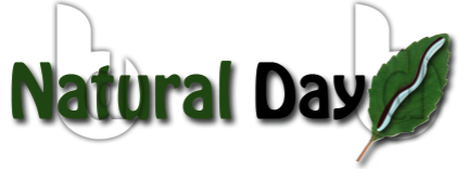 Logo Design by Gavin Shiminski Designs for this project | Design #247968