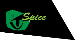 Logo Design by SloN