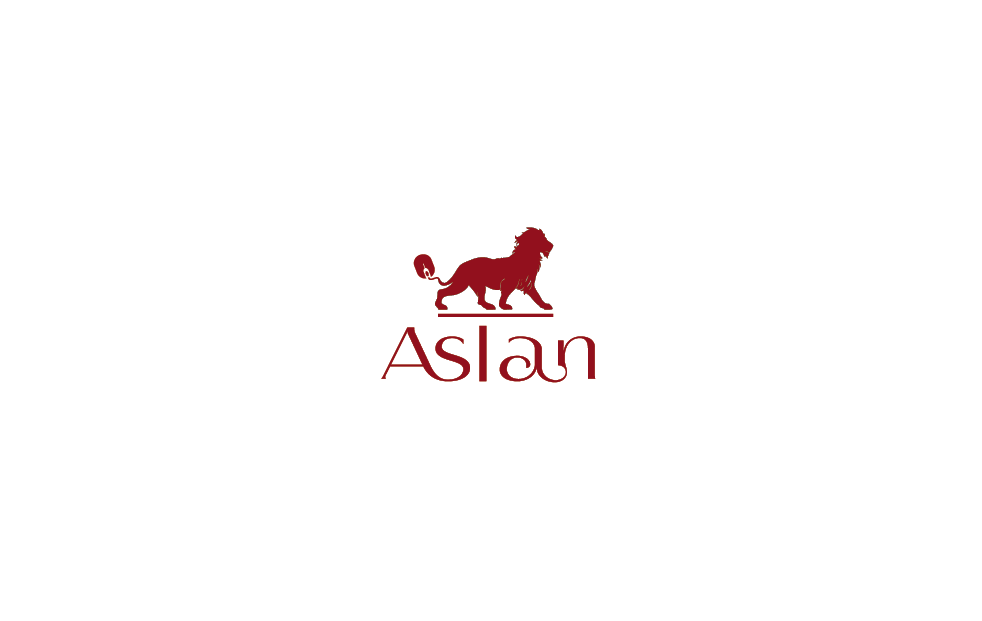 54 Elegant Professional Software Logo Designs for Aslan, with the word ...