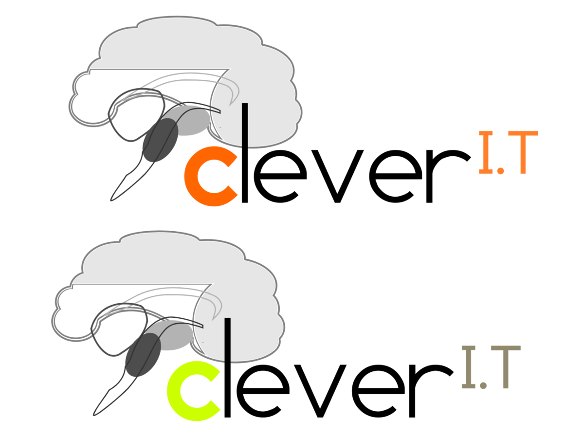 Logo Design by CutCorner Creatives for Clever IT Limited | Design #249575