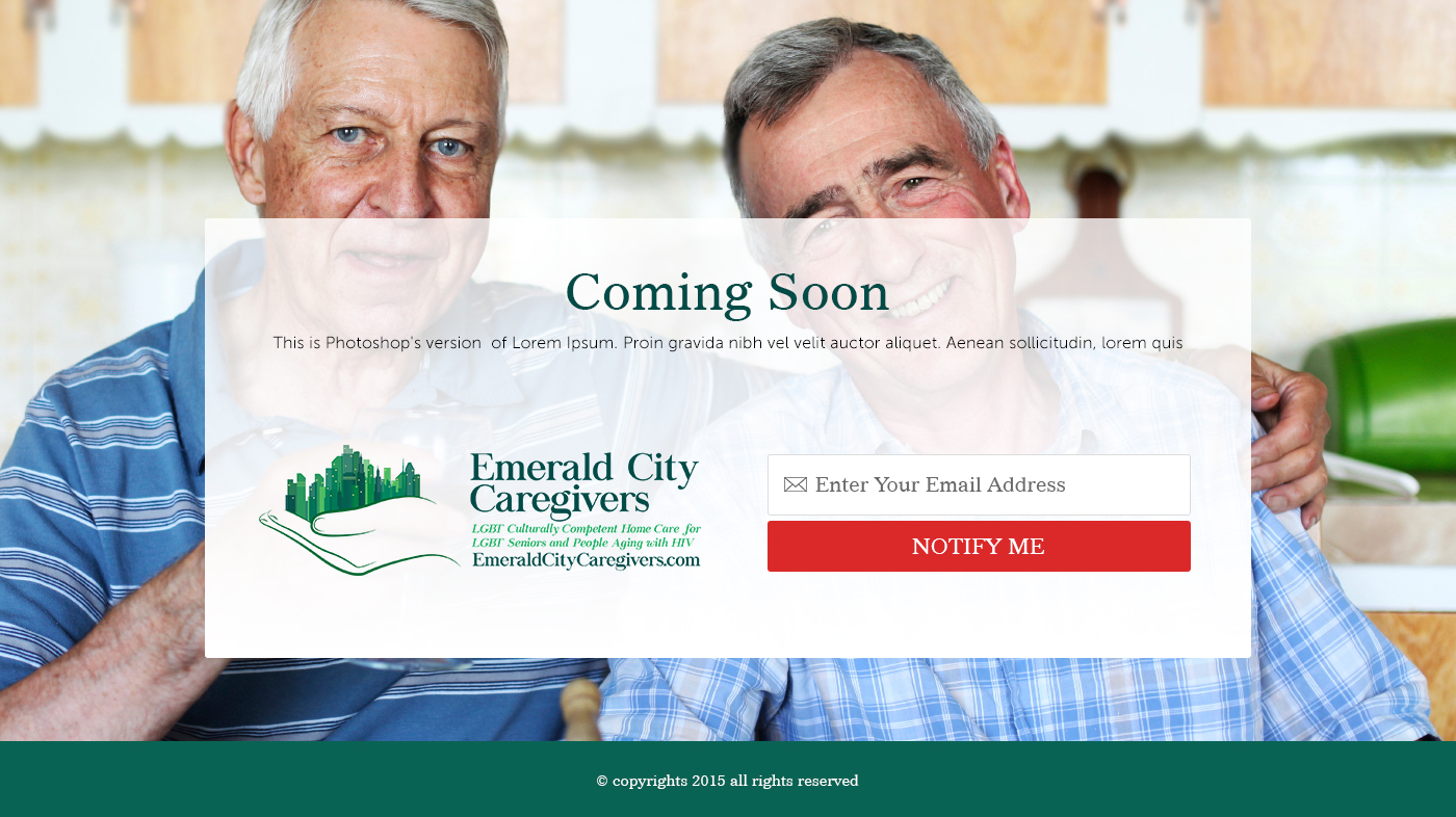 Web-Design von the-lion-king für Davidson County Democratic Party | Design #5028335