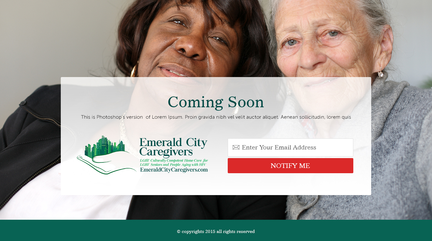 Web-Design von the-lion-king für Davidson County Democratic Party | Design #5028339