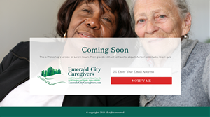 Web Design par the-lion-king pour Davidson County Democratic Party | Design : #5028339