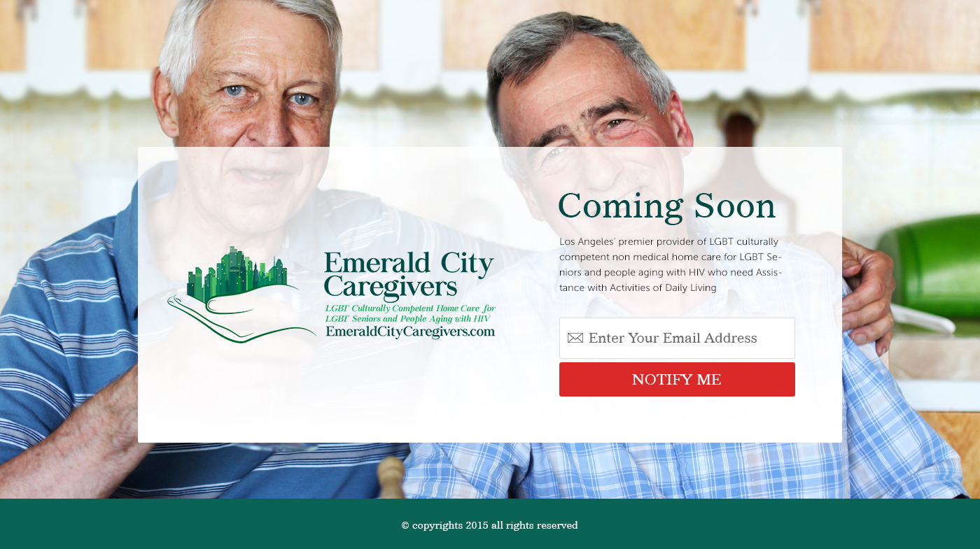 Diseño Web por the-lion-king para Davidson County Democratic Party | Diseño #5028341