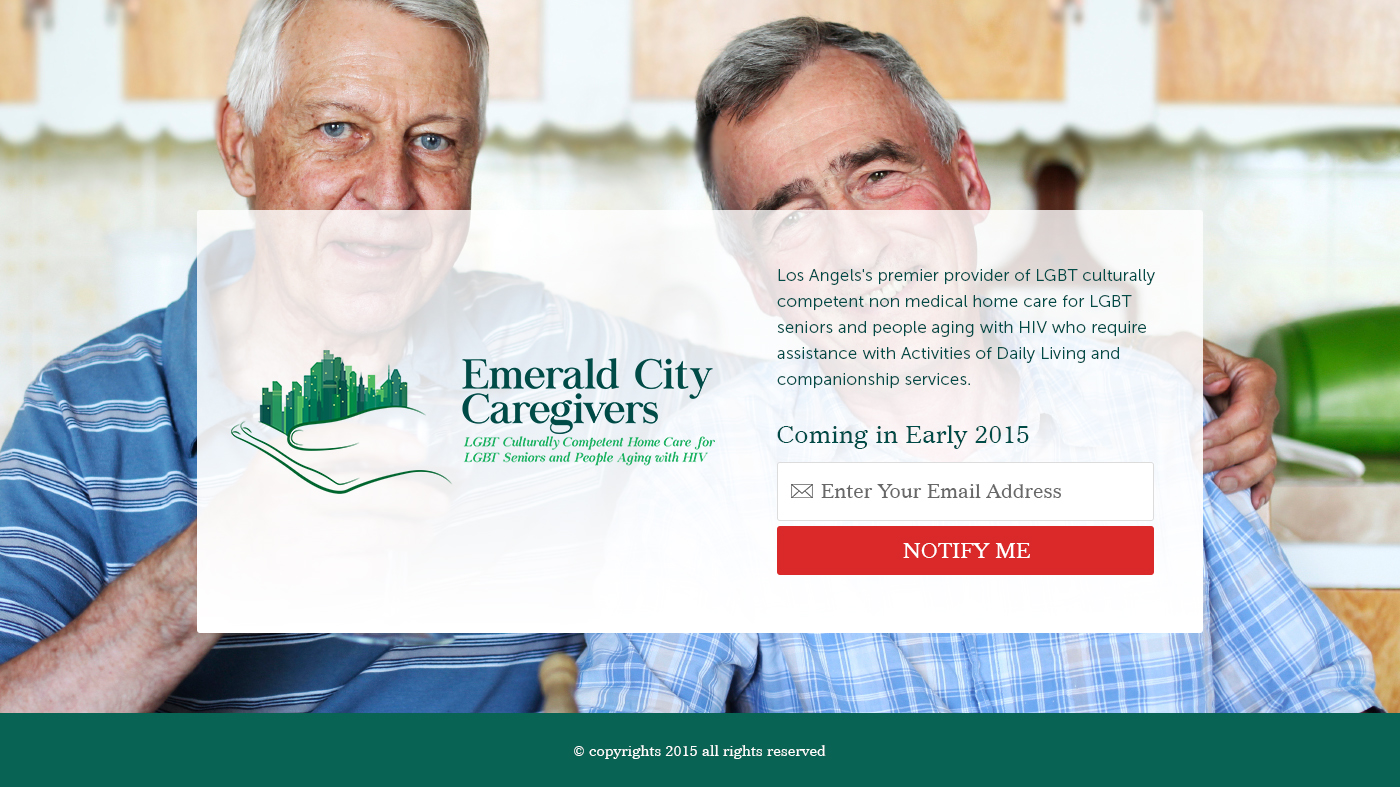 Web Design par the-lion-king pour Davidson County Democratic Party | Design #5032275