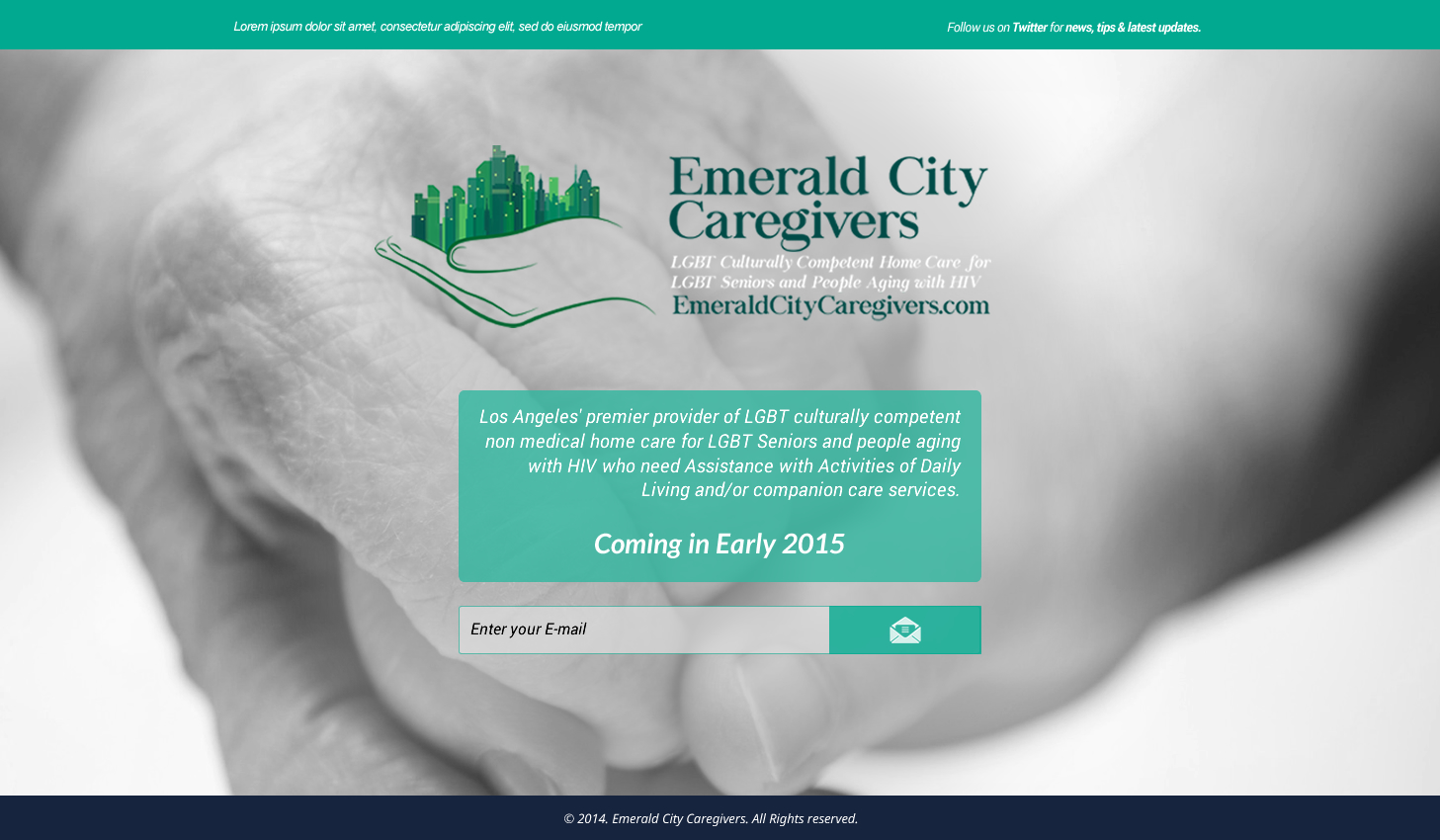 Web-Design von Sbss für Davidson County Democratic Party | Design #5027428