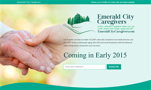 Web Design par Sbss pour Davidson County Democratic Party | Design : #5027439