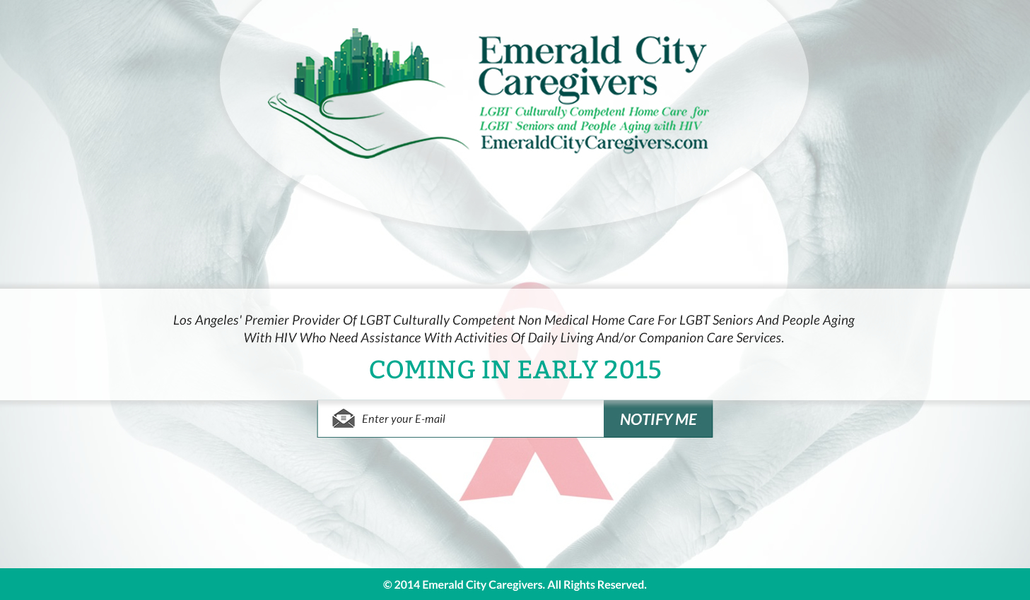 Web Design by Sbss for Davidson County Democratic Party | Design #5029313