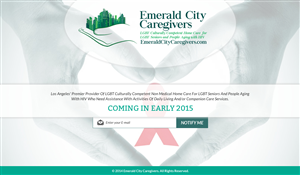 Web Design par Sbss pour Davidson County Democratic Party | Design : #5029313