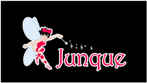 Junque | Logo Design by TSEdesign