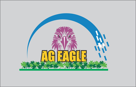 Logo Design by dkthedon for AgEagle | Design #1427532