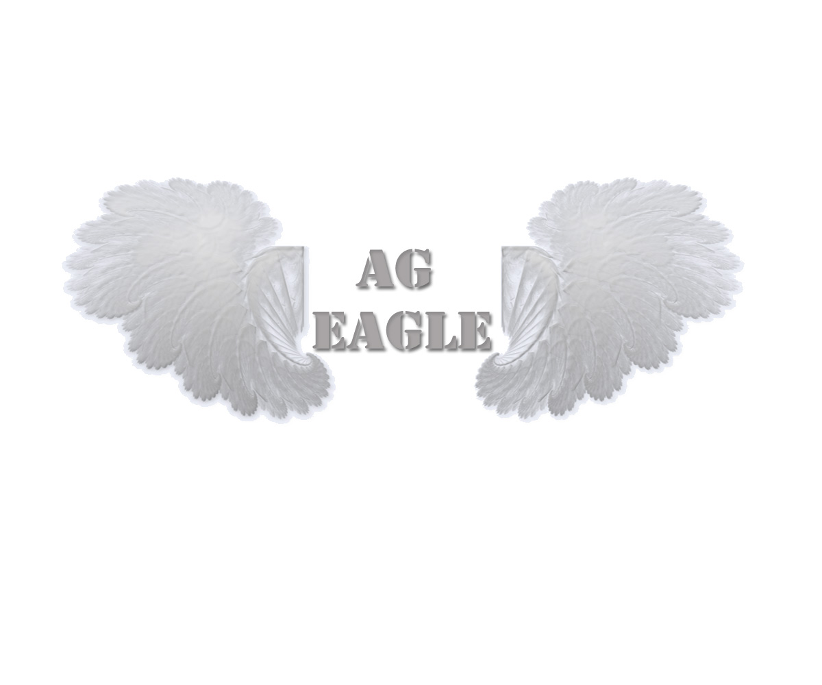 Logo Design by Dimension Productions for AgEagle | Design #1413377