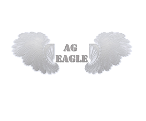 Logo Design by Dimension Productions
