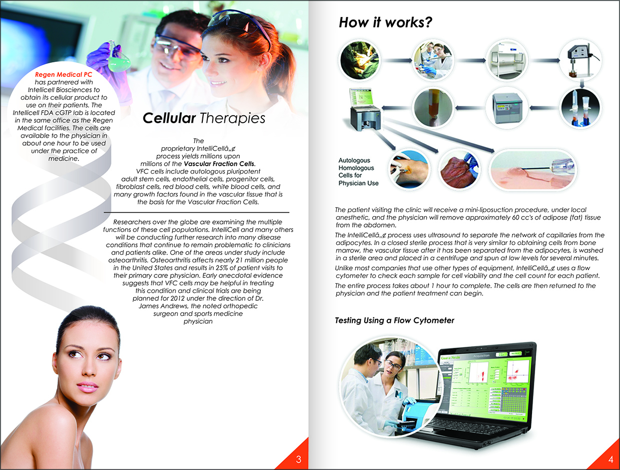 Brochure Design by setyo ari for this project | Design #5011548