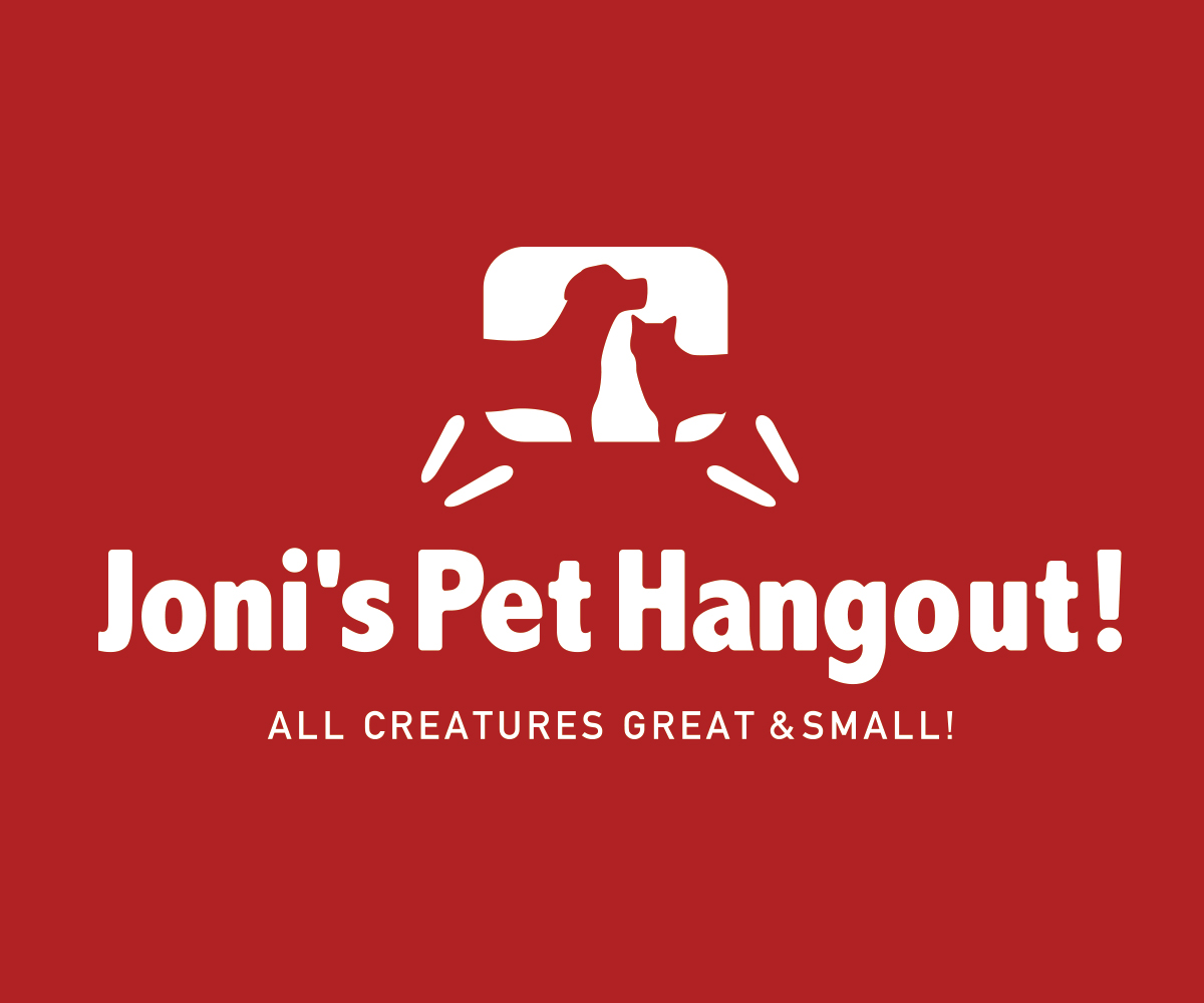 Logo Design by clyde for DirectAZ | Design #1432237