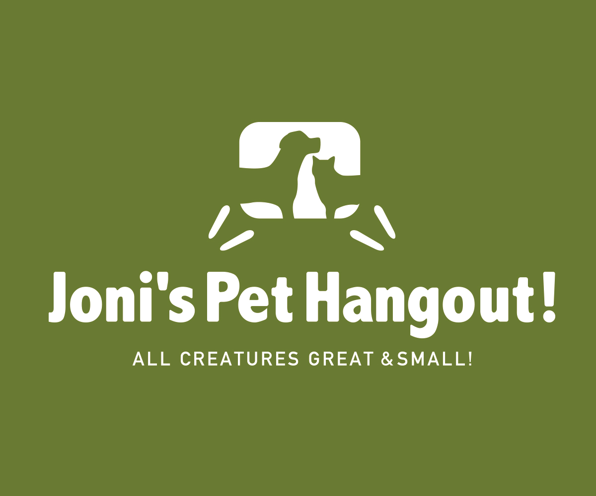 Logo Design by clyde for DirectAZ | Design #1432241