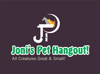 Logo Design by dkthedon for DirectAZ | Design #1427305