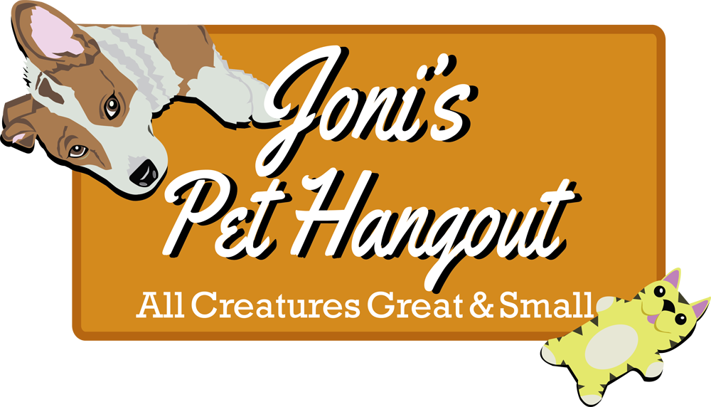 Logo Design by Howell Designs for DirectAZ | Design #1414929