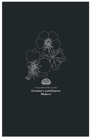 T-shirt Design by Simon Hon
