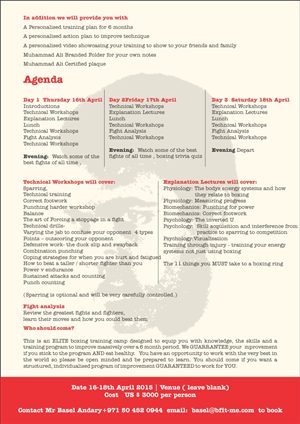 Brochure Design by Savitra for Boxercise | Design: #5013335