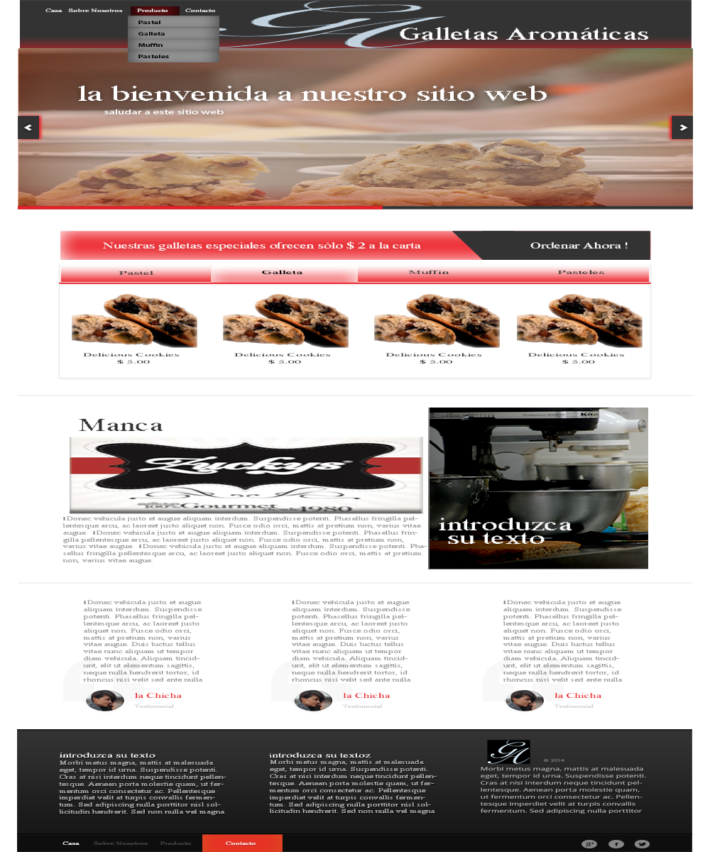 Web Design by fariz_nurzam for this project | Design #5143349