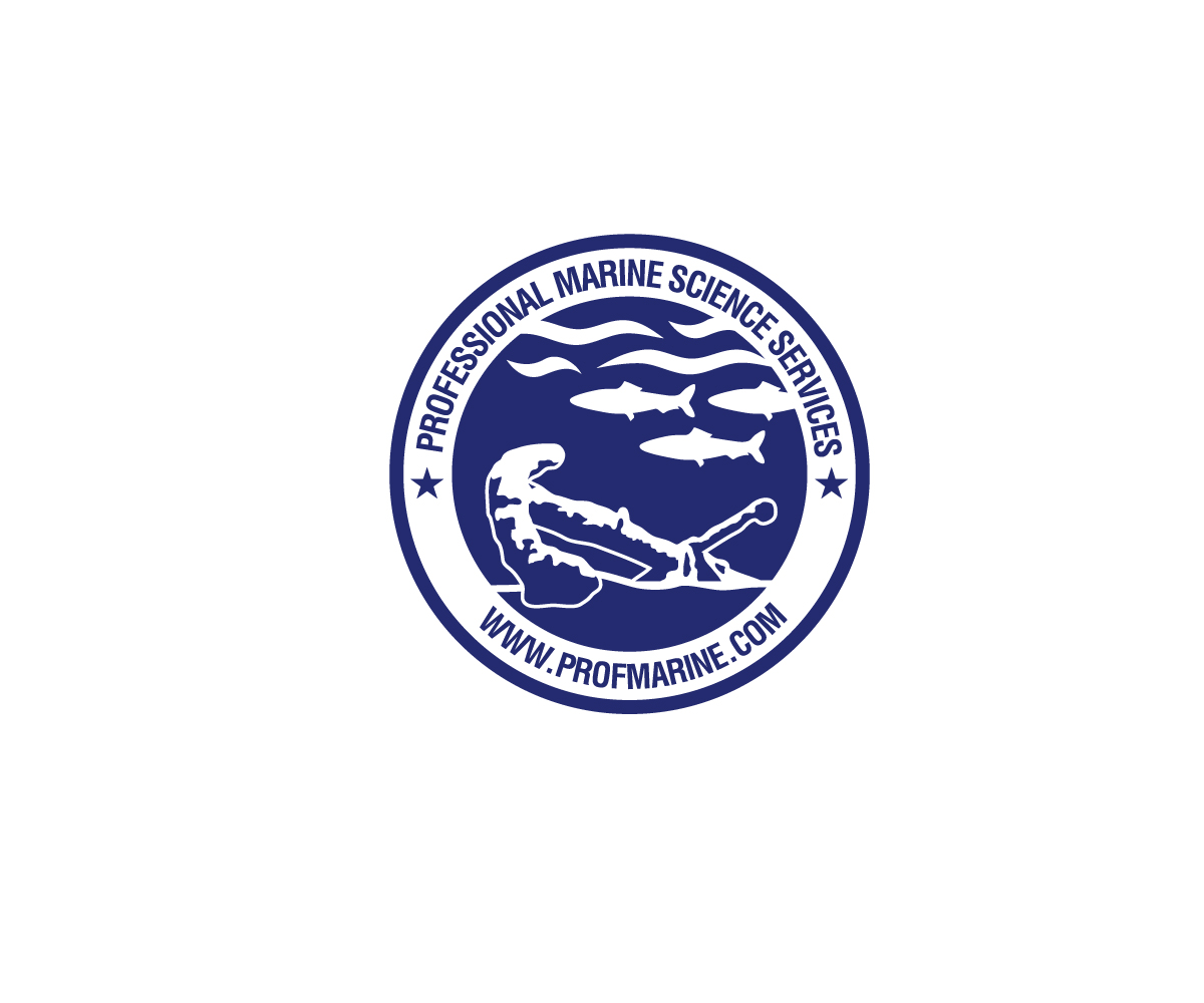 Logo Design by Buck Tornado for this project | Design #5031622