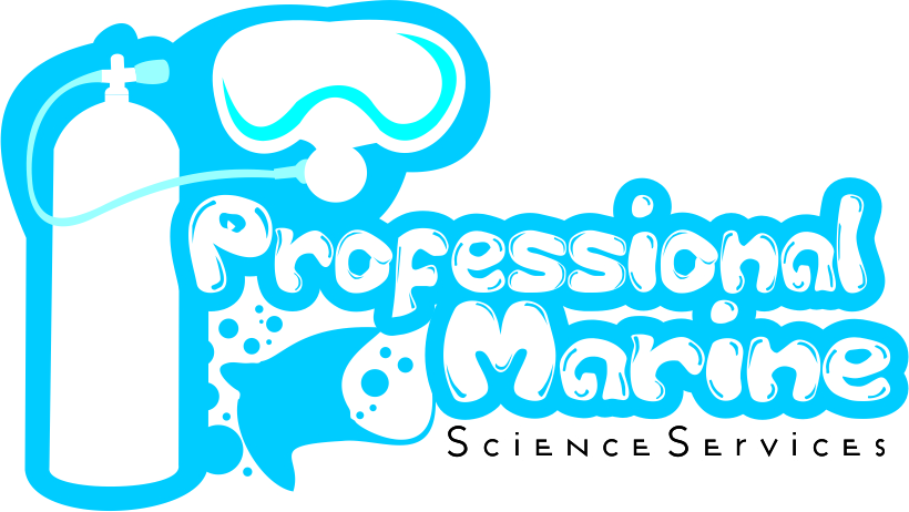 Logo Design by zuliansorci for this project | Design #5026473