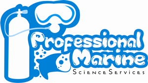 Logo Design by zuliansorci for this project | Design: #5026473