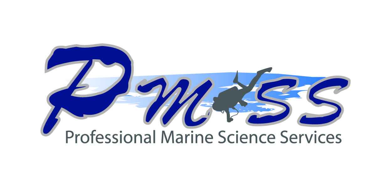 Logo Design by Jecha for this project | Design #5016993