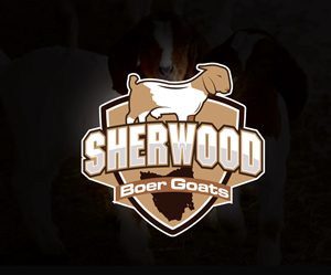 Logo Design by ErrAr