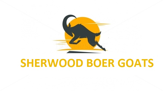 Logo Design by talibkhatri1 for this project | Design #5013079