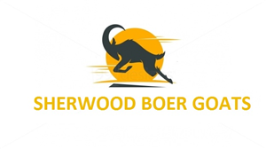 Logo-Design von talibkhatri1 für dieses Projekt | Design: #5013079