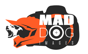 Logo Design by coa for this project | Design: #5039231