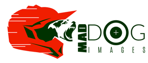 Logo Design by coa for this project | Design: #5055391