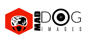 Logo Design by coa for this project | Design: #5057388