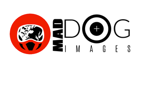 Logo Design by coa for this project | Design: #5057392