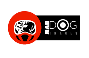 Logo Design by coa for this project | Design: #5057395