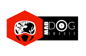 Logo Design by coa for this project | Design: #5057400