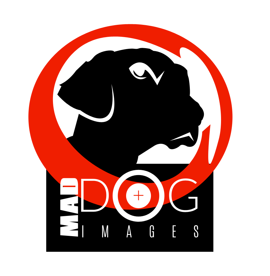 Logo Design by coa for this project | Design #5057402