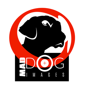 Logo Design by coa for this project | Design: #5057402
