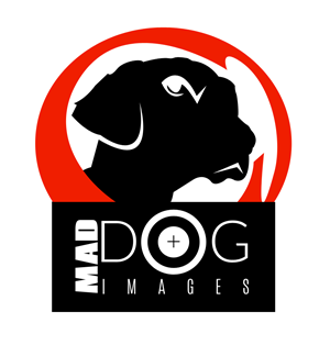 Logo Design by coa for this project | Design: #5057408