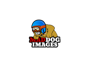 Logo Design by anushka_snigdha for this project | Design #5035299