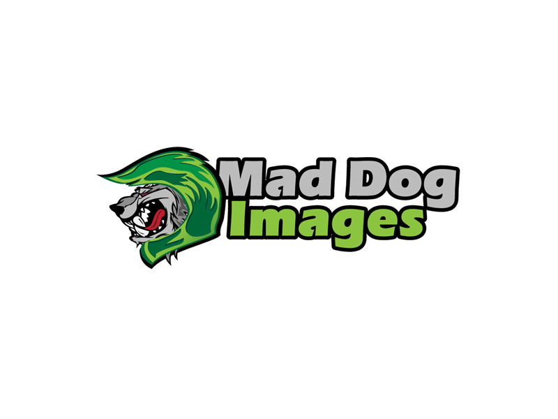 Logo Design by anushka_snigdha for this project | Design #5035302
