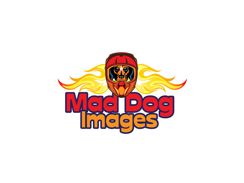 Design de Logo par anushka_snigdha pour ce projet | Design #5035304