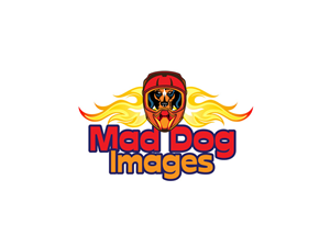 Logo Design by anushka_snigdha for this project | Design: #5035304